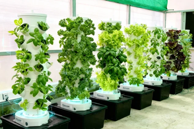 How Aeroponic Towers Are Changing Home Gardening Forever