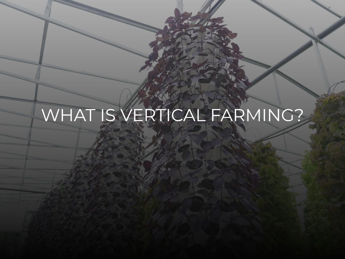what is vertical farming