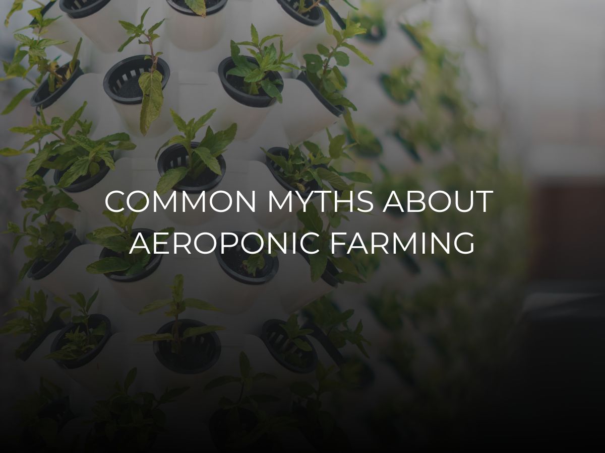 aeroponics farming myths